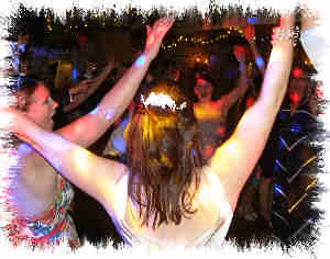 wedding dj, mobile disco, arms in air dancing image